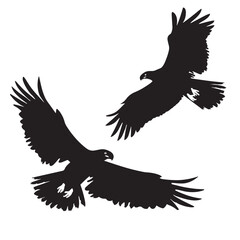 Fototapeta premium Eagles silhouette isolated in White background