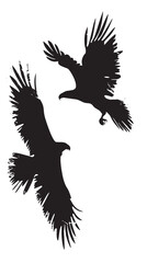 Obraz premium Eagles silhouette isolated in White background