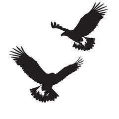 Eagles silhouette isolated in White background