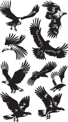 Obraz premium Eagles silhouette isolated in White background