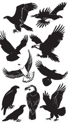 Fototapeta premium Eagles silhouette isolated in White background