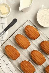 Madeleine cakes, food for eat with tea and coffee