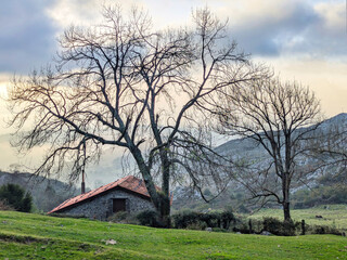 A lonely cabin next to trees in an idyllic landscape in Bimenes, Asturias, Spain