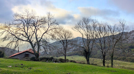 A lonely cabin next to trees in an idyllic landscape in Asturias, Spain