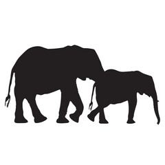 Fototapeta premium Elephant Silhouette Vector , black silhouettes isolated on white background