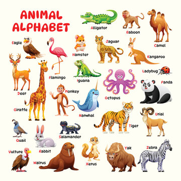 Animal alphabet chart with cartoon animals from A to Z including alligator, eagle, giraffe, and zebra. Vector illustration
