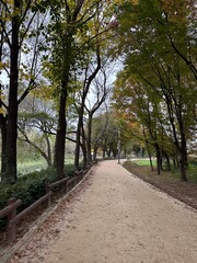 가을 산책로