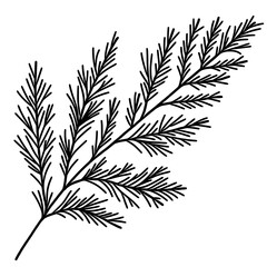 Pine tree Leaf Hand drawn Christmas Winter christianity religion graphic vector illustration isolated on white background color editable 