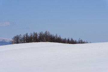 3月美瑛の風景