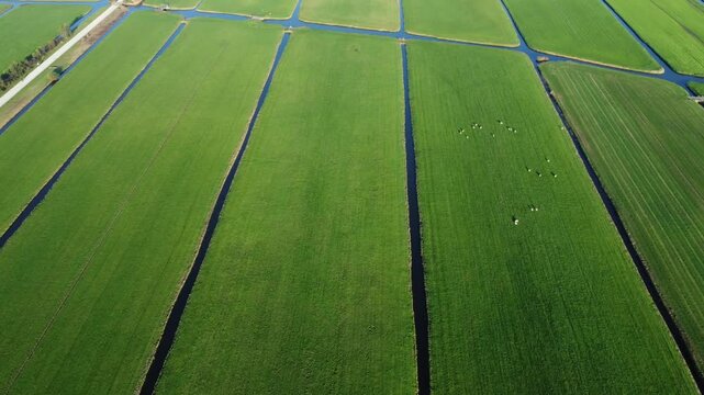 Scene so simple, serene, and sweet, nature&rsquo;s own rhythm, steady and neat