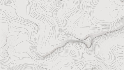 Topographic lines texture background