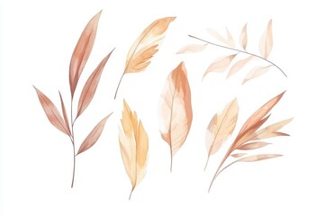Isolated Autumn Leaves for Seasonal Design Projects