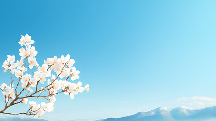 Serenity of a plum blossom tree in full bloom beneath a clear blue sky a symbol of renewal and beauty