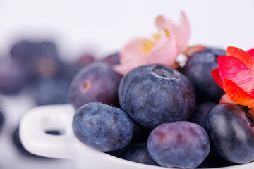 Close-up of a bowl of fresh blueberries with red and pink flowers on a white background, displaying vibrant colors and a refreshing composition