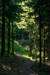 Fototapeta premium View of the Czech countryside from the Velká Deštná lookout in the Orlické Mountains.