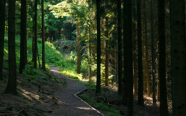 Fototapeta premium View of the Czech countryside from the Velká Deštná lookout in the Orlické Mountains.