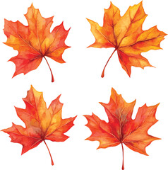 Fototapeta premium Beautiful vector watercolor set of autumn leaves collection with vibrant shades of orange, red, and yellow on white 