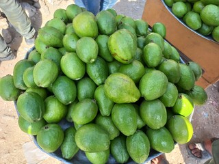 city sprouts at the market