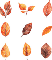 Obraz premium Beautiful vector watercolor set of autumn leaves collection with vibrant shades of orange, red, and yellow on white 