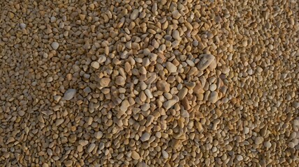 A close-up view of small beige gravel stones piled in a natural setting showing texture and variety in shape and size