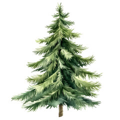 Fototapeta premium Christmas tree watercolor isolated on white background, Set of greenery Christmas pine tree watercolor illustration
