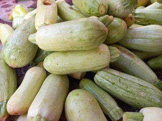 zucchini in the market