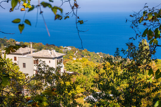 View to the aegean sea from Tsagarada village, in Pelion, Greece. Dense folliage