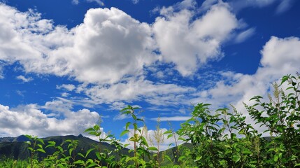 The allure of a landscape filled with the beauty of blue sky, fluffy white clouds, majestic high mountains, and vibrant green plants. Generative AI