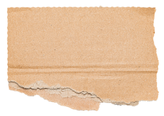 Isolated cut out torn piece of brown corrugated cardboard with texture and copy space for text, transparent png background design element