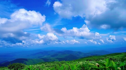 The allure of a landscape filled with the beauty of blue sky, fluffy white clouds, majestic high mountains, and vibrant green plants. Generative AI