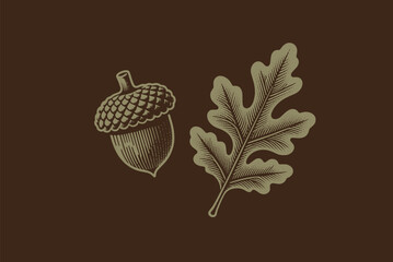 Oak leaf and acorn. vintage monochrome brown vector illustration. Print, icon, emblem, logo. © Victoria