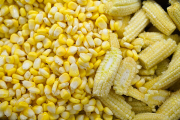Corn seeds mixed with baby corn in the background.