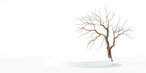 Obraz premium Empty round white platform podium sitting on a sandy beach with a solitary dry tree twig, serene, twig, tree