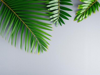 Obraz premium Exotic tropical green palm branch on neutral gray background top view flat lay, tropical, foliage, gray background