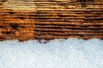 Old wood in winter snow