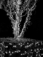 Bright Christmas and New Year Festive Mood Decoration Background