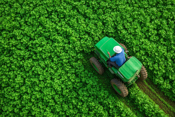 Smart farming techniques with drones and AI optimizing crop yield.