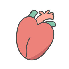 心臓　イラスト
