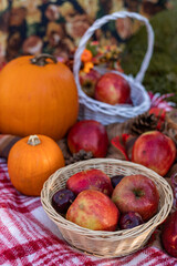 Autumn picnic in nature with apples. Apples and pumpkins on a blanket in nature