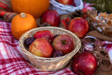 Autumn picnic in nature with apples. Apples and pumpkins on a blanket in nature