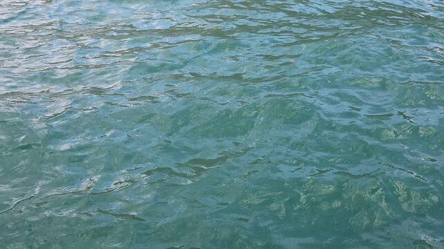 Wonderful swim in clean turquoise sea water. Scenic backdrop with beautiful transparent water of the Red Sea with sun shine.