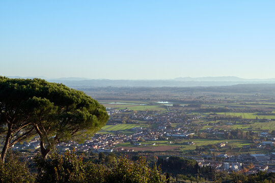 Vista di Montecatini Terme durante una serena giornata soleggiata cielo azzurro e sereno senza nuvole bianche sull'orizzonte con un albero di pino in primo piano.