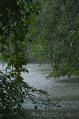 River landscape in heavy rain, River with bushes and trees on the sides, river landscape in the rain, heavy rain in the river, trees rainy scenery