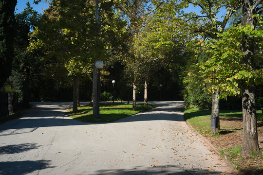 Vista del parco Pineta di Montecatini Terme durante una bella e serena giornata autunnale con cielo azzurro e senza nuvole sull'orizzonte.