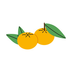 Two tangerines with leaves