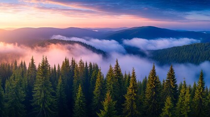 A view of a mountain range covered in fog and trees