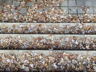 feuilles mortes, automne, escaliers, marches,feuilles, mortes, chaussée,automnal, ville, chute, risque, glissant, glisse, danger, urbain, feuille, jaune, nature, brun, texture, couleur, saison, orange