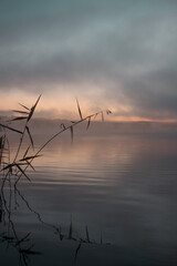 Naklejka premium Grass silhouette with a scenic sunrise lake background