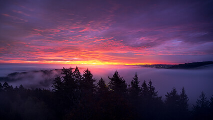 A spectacular sunrise over the fog-covered Black Forest during an inversion in fall