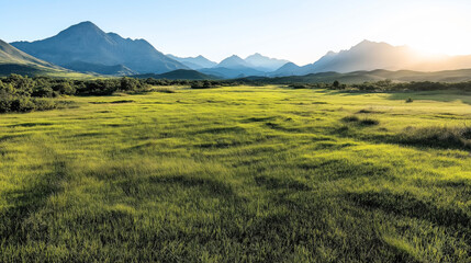 Fototapeta premium Scenic landscape with a wide green meadow, surrounded by lush vegetation and mountains under a clear blue sky with sunlight illuminating the scene from the horizon in the distance.